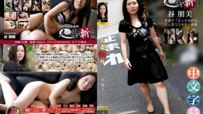 아내 타니토모미